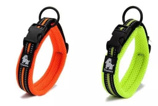 Large Dog Collars wiggles and wags