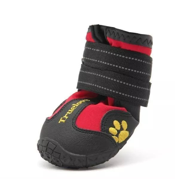 Good dog shoes discount