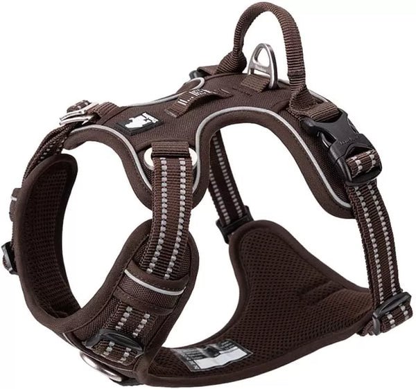 Dog Harness Not Over Head | TLH56512 | Shipped From UK – Wiggles and Wags