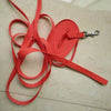 red long line training lead for dog