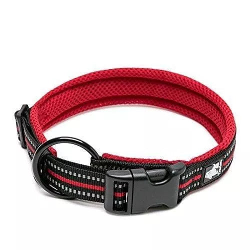 Best collars 2024 for big dogs