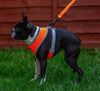 truelove mesh puppy small dog harness orange