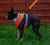 truelove mesh puppy small dog harness orange
