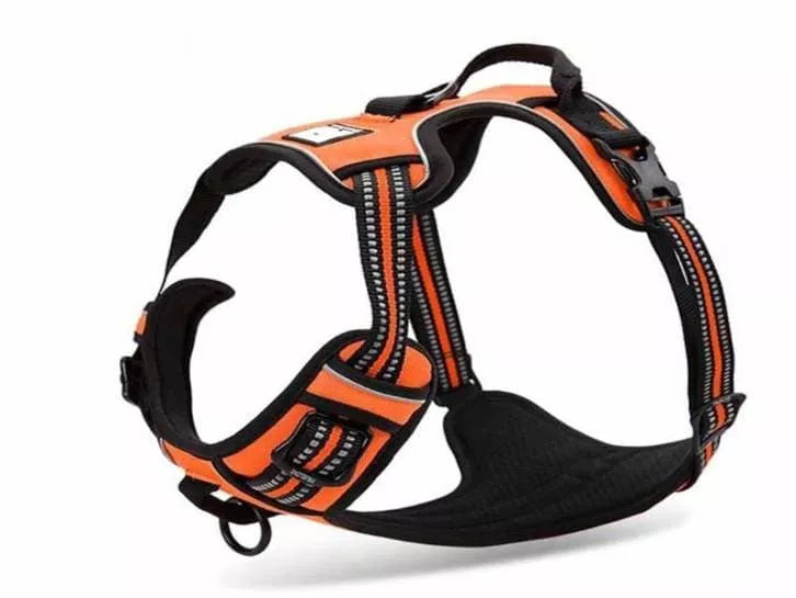 Truelove Dog Harness Front and Top Clip Double Lead UK