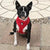 Truelove Dog Harness For small dog